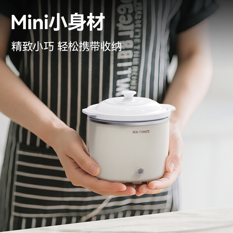 天际DDG-07DAD电炖锅图片