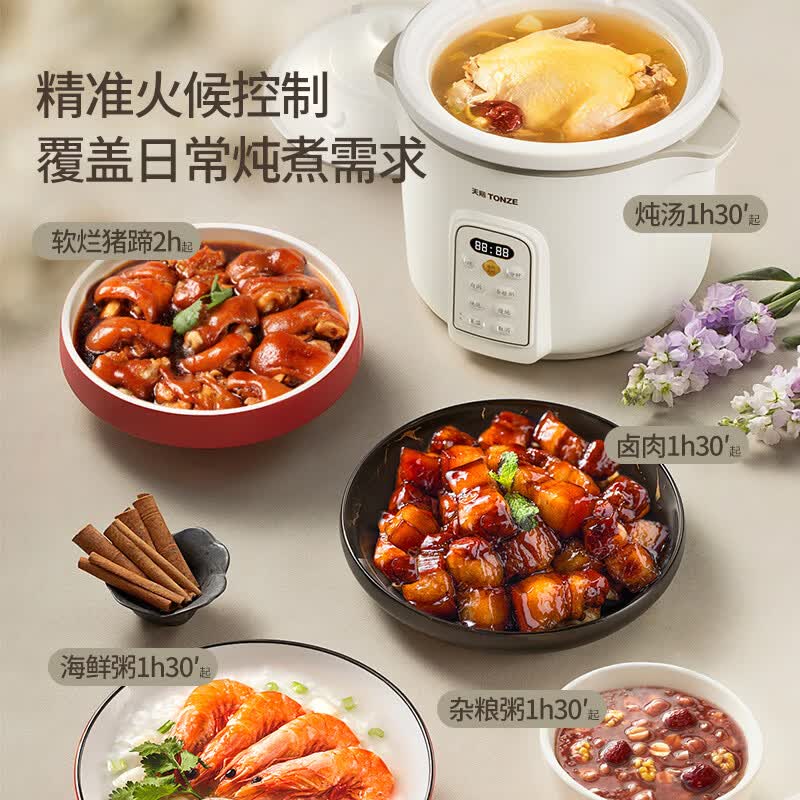 天际DGD40K22GC电炖锅图片