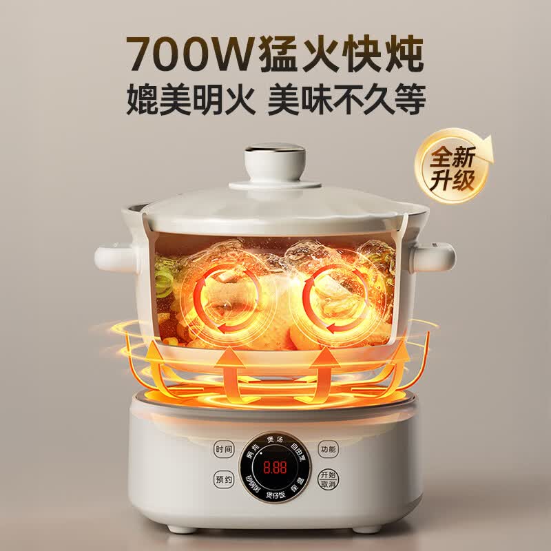 小熊DSG-D30S1电炖锅图片
