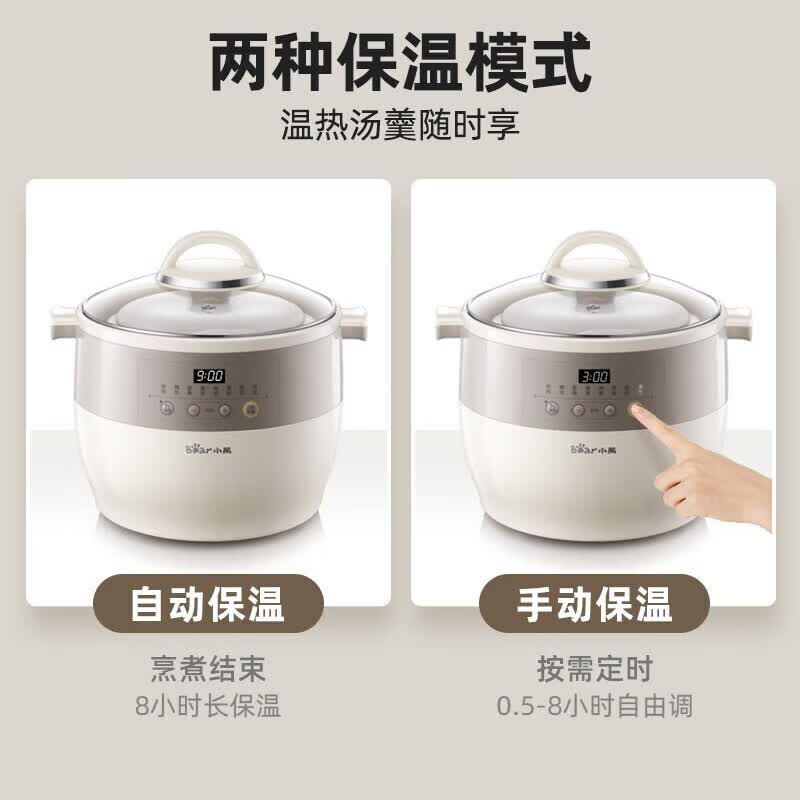 小熊DDZ-B45B2电炖锅图片