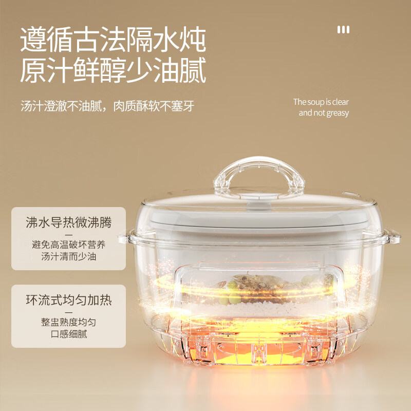 天际DGGD23A183BZBW电炖锅图片