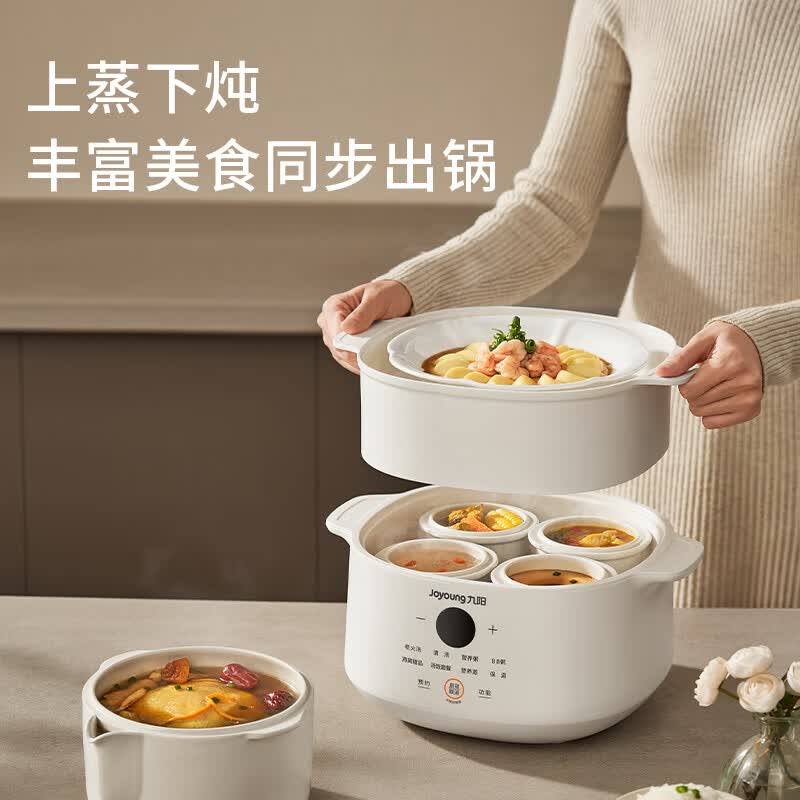 九阳DG25G-GD188L电炖锅图片