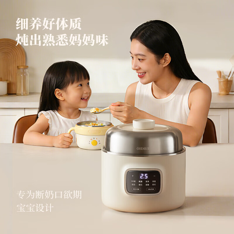 OIDIRE-ODI-DDZ23电炖锅图片