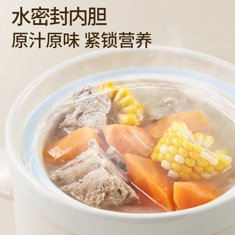天际DDG-10DB电炖锅图片