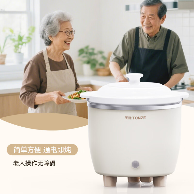 天际DDG-07DAD电炖锅图片