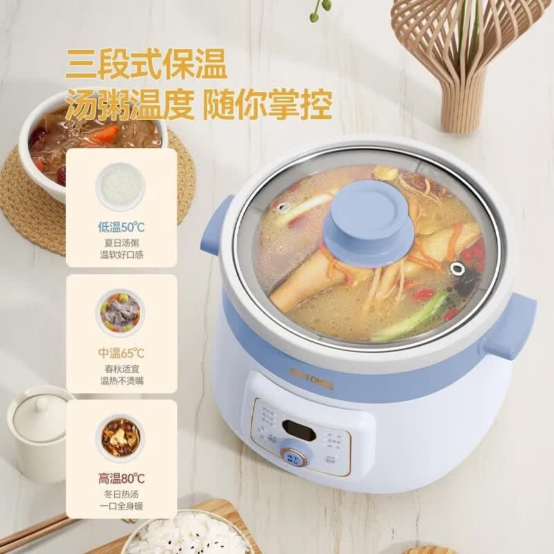 天际DGDD23A30BMBW电炖锅图片