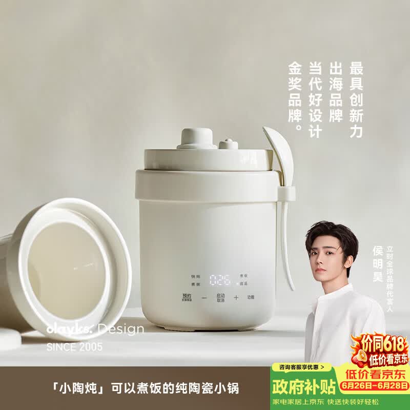 olayks-OLK-DDB06A电炖锅图片