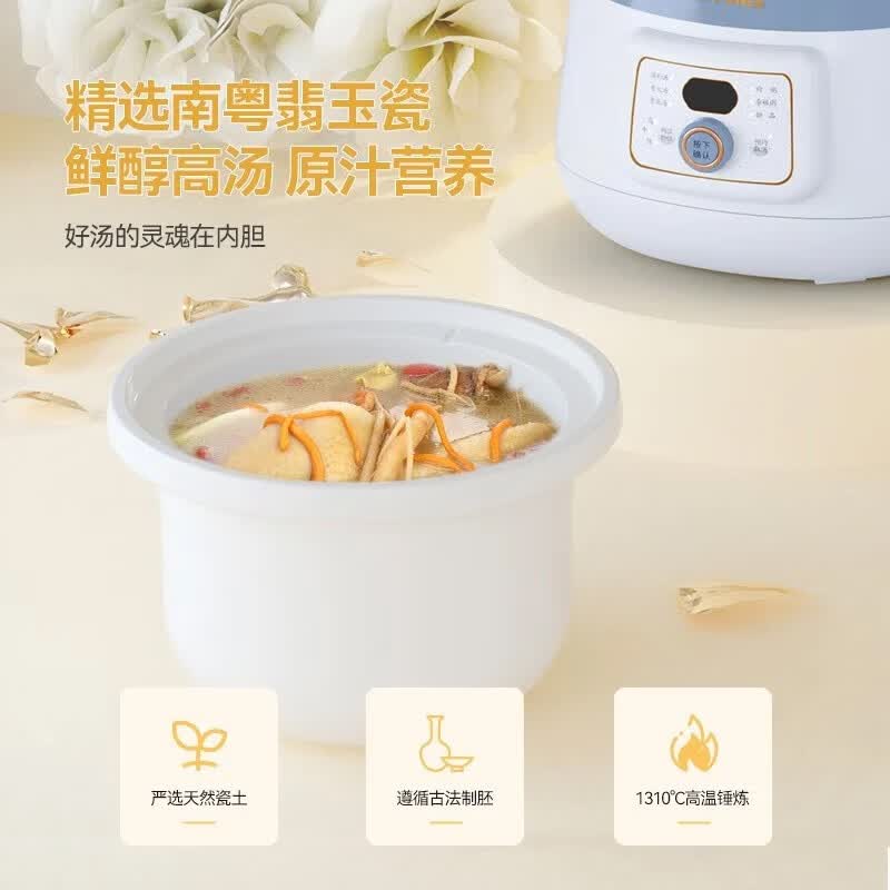 天际DGDD23A30BMBW电炖锅图片
