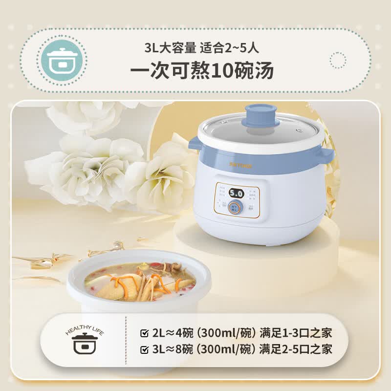 天际DGDD23A30BMBW电炖锅图片