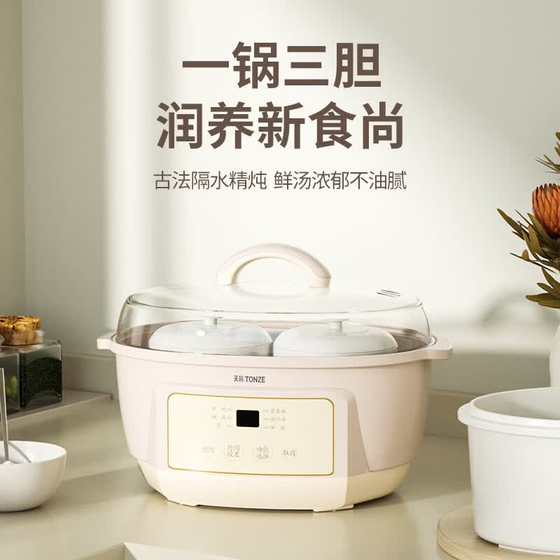 天际DGGD23A183BBW电炖锅图片
