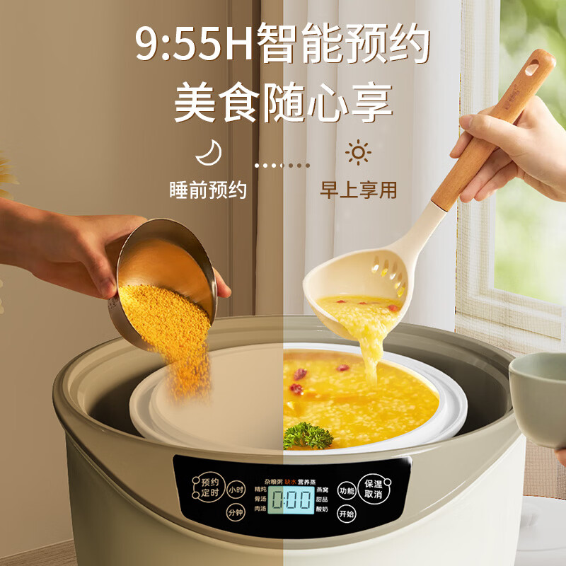 天际GSD-223GC电炖锅图片