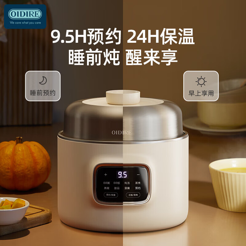 OIDIRE-ODI-DDZ23电炖锅图片