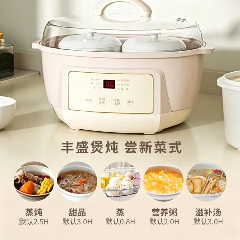 天际DGGD23A183BZBW电炖锅图片