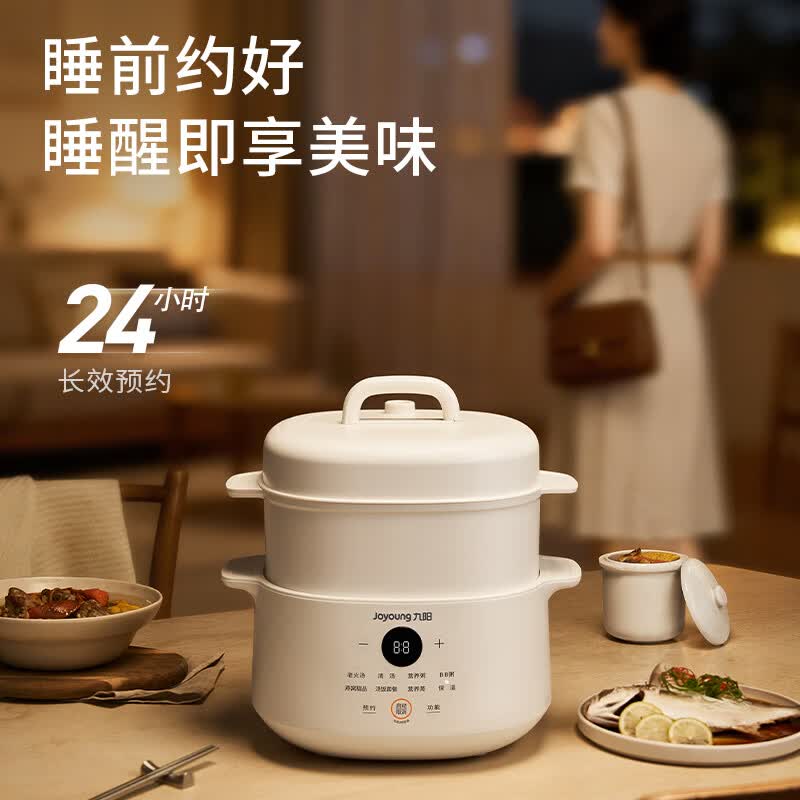 九阳DG25G-GD188L电炖锅图片