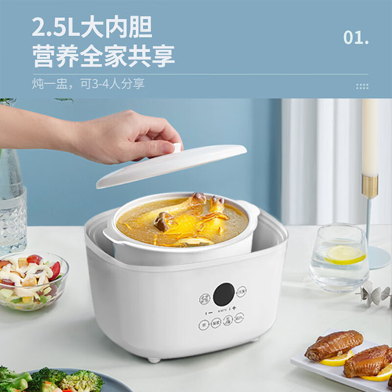 天际DGD25-25AG电炖锅图片