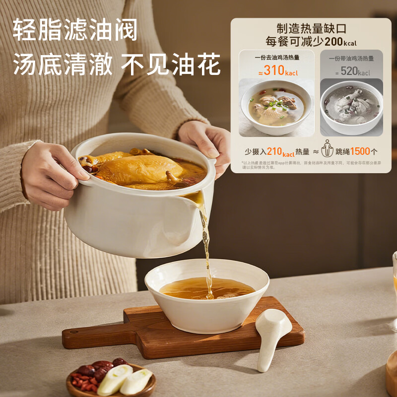 九阳DG25G-GD188L电炖锅图片