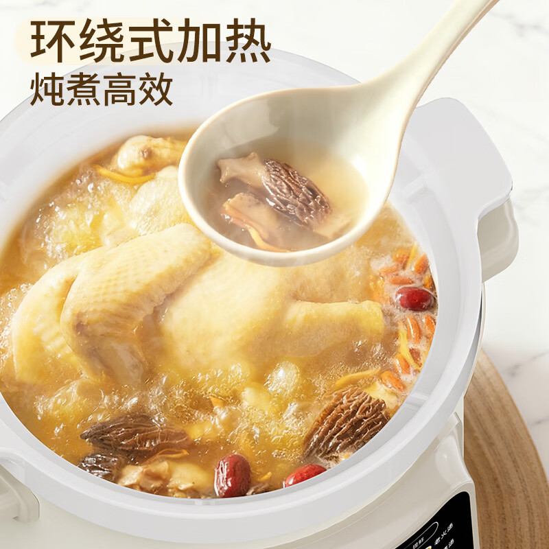 天际DDG-50DF电炖锅图片