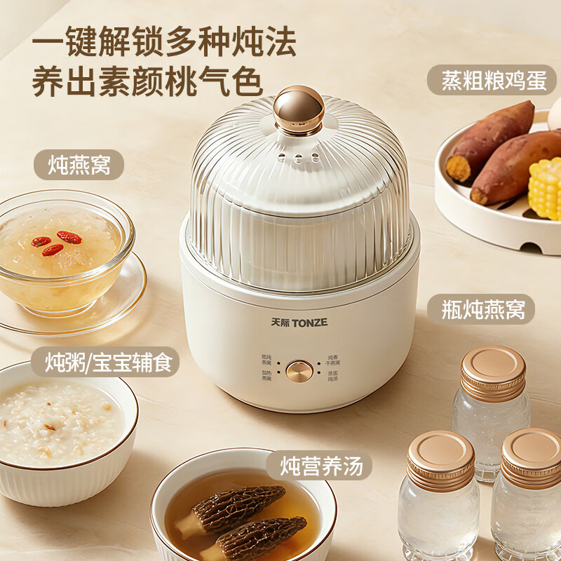 天际YWJ-06YW-1电炖锅图片