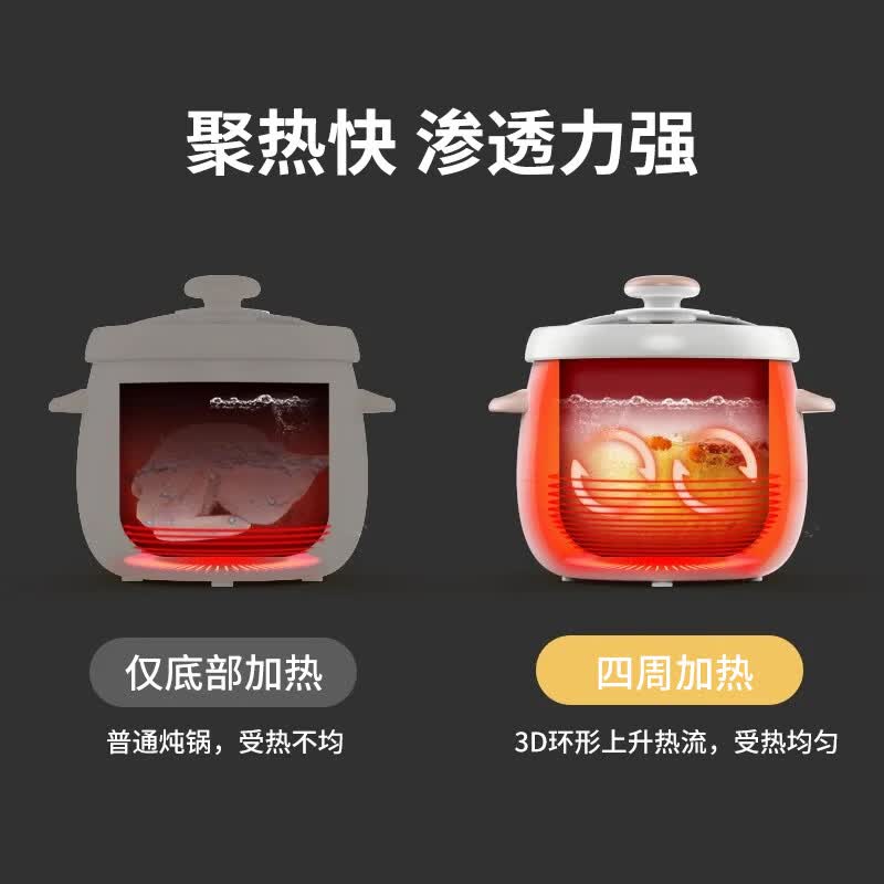 天际DGD15-15DD电炖锅图片