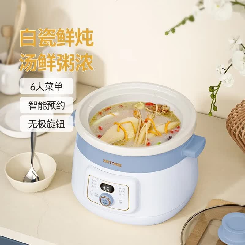 天际DGDD23A30BMBW电炖锅图片