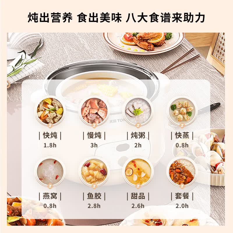 天际DGGD24A163BZDQ电炖锅图片