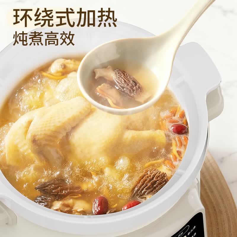 天际DDG-40DF电炖锅图片