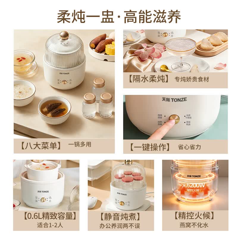 天际YWJ-06YW-1电炖锅图片