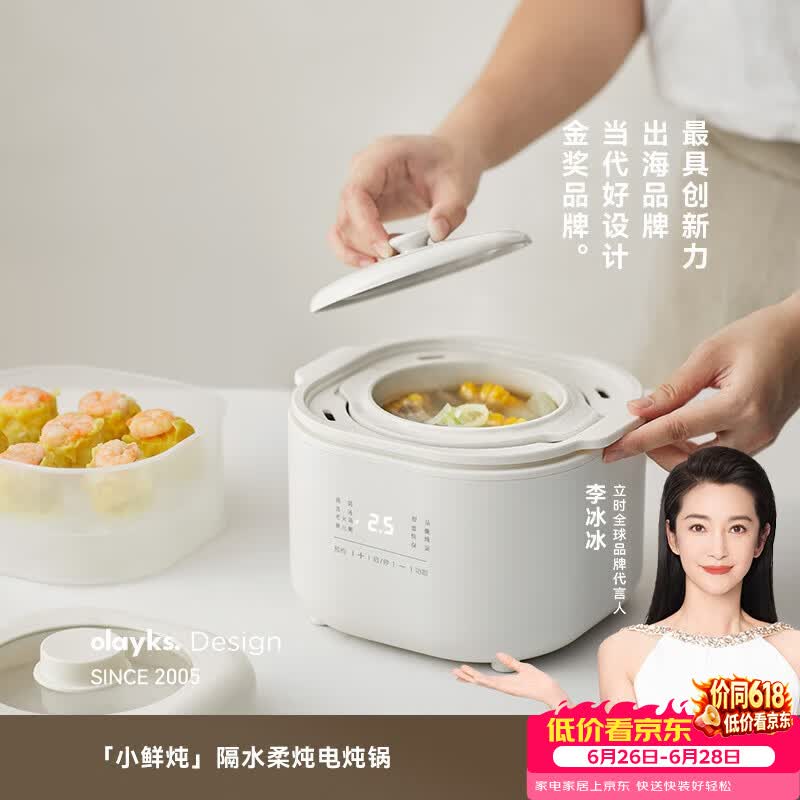 olayks-OLK-DZ01S电炖锅图片