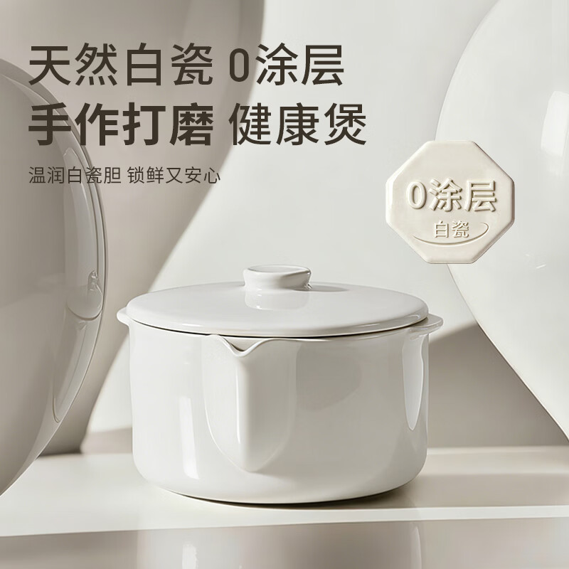 九阳DG25G-GD188L电炖锅图片