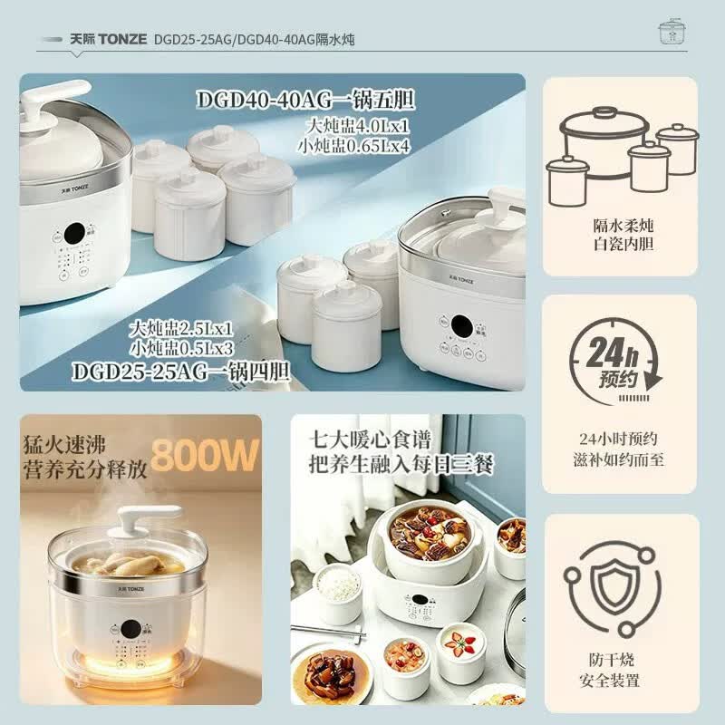 天际DGD25-25AG电炖锅图片