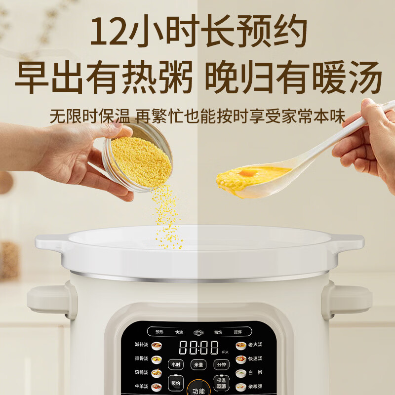 天际DDG-30DF电炖锅图片