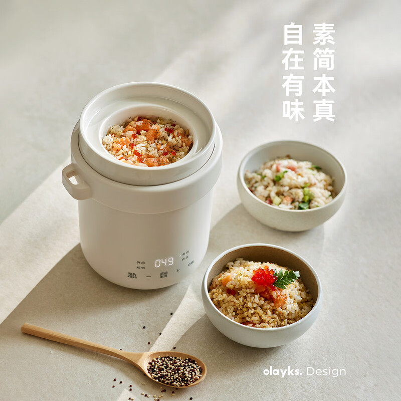 olayks-OLK-DDB06A电炖锅图片