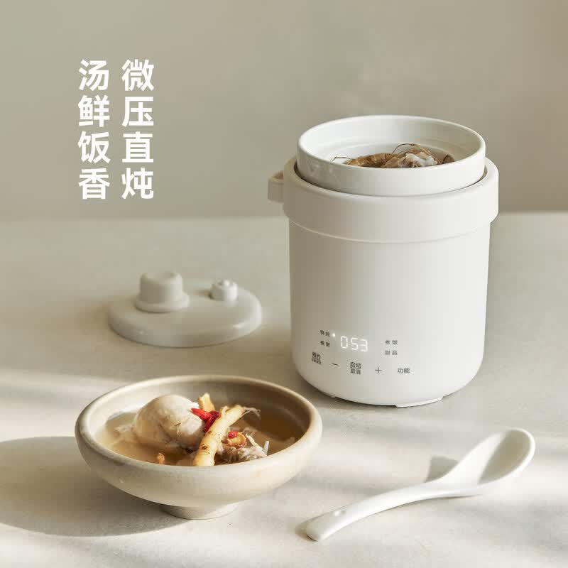 olayks-OLK-DDB06A电炖锅图片