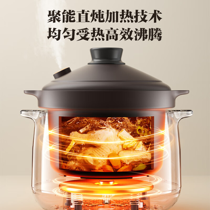 苏泊尔DG30YC875电炖锅图片