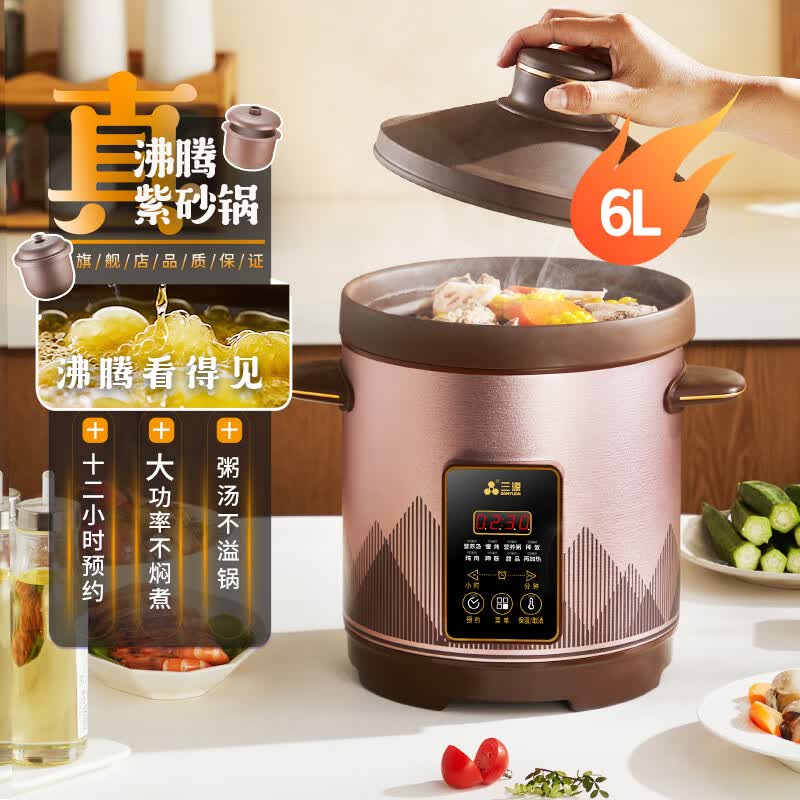 三源XYDTG60-SA32电炖锅图片