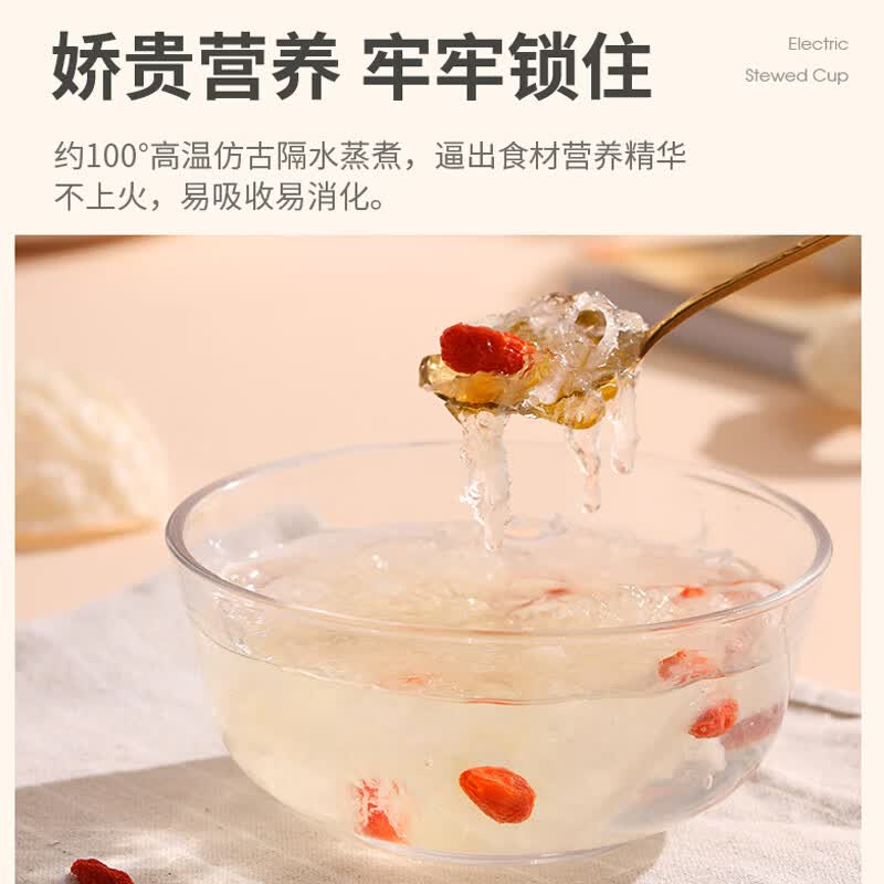 LOTOR徕多D1电炖锅图片