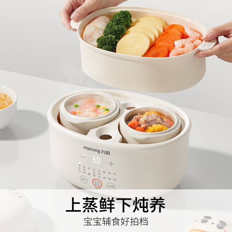 九阳DG10G-GD189电炖锅图片