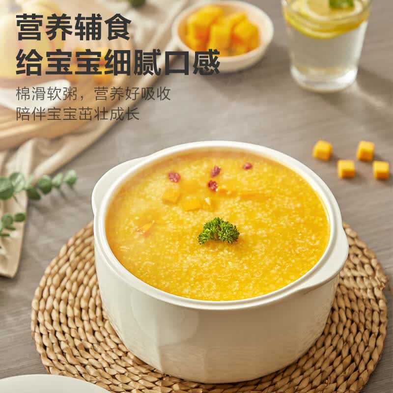苏泊尔DZ25FC859电炖锅图片