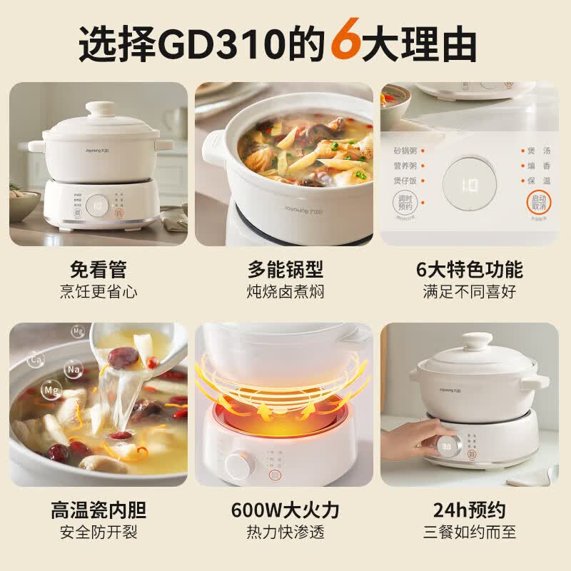 九阳DG30Z-GD310电炖锅图片