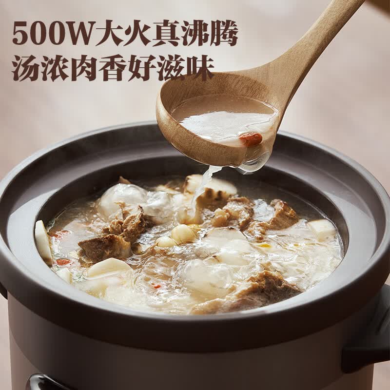 苏泊尔DG50YC872电炖锅图片