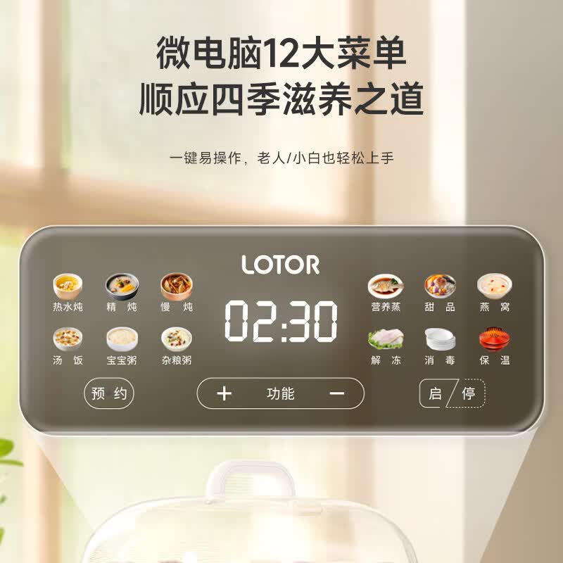 LOTOR徕多LD-DDZ50电炖锅图片