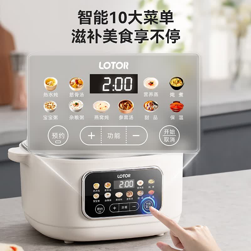 LOTOR徕多LD-DDZ-D31C电炖锅图片