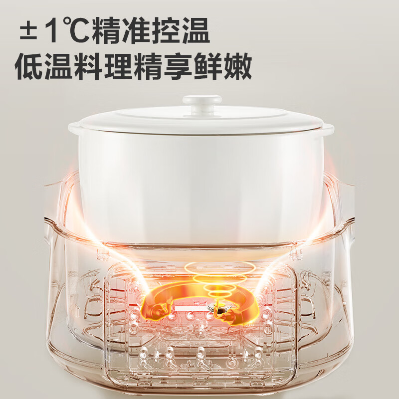 苏泊尔DZ25FC859电炖锅图片