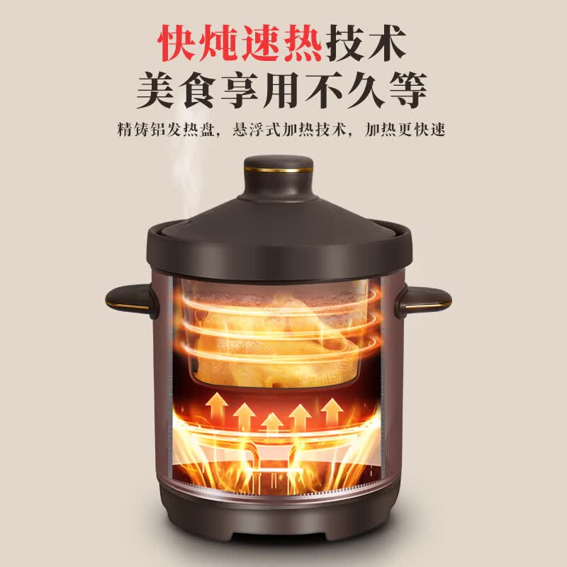 三源XYDTG60-SA32电炖锅图片