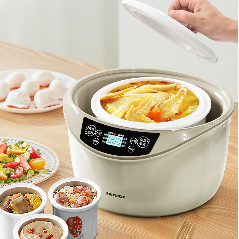 天际GSD-223GC电炖锅图片