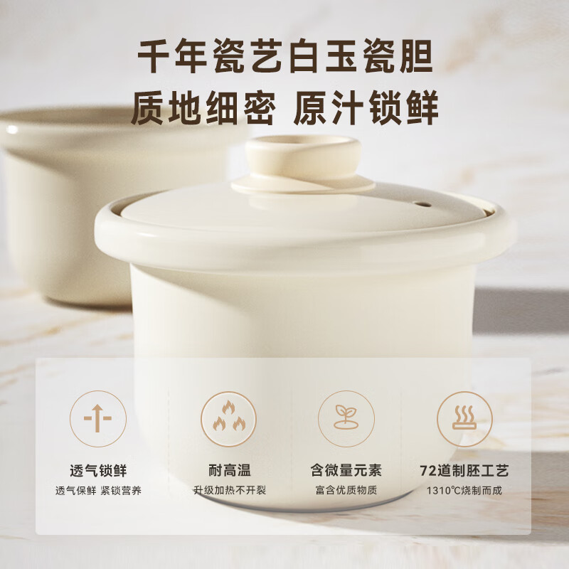 天际DGDD22B30BSGCW电炖锅图片
