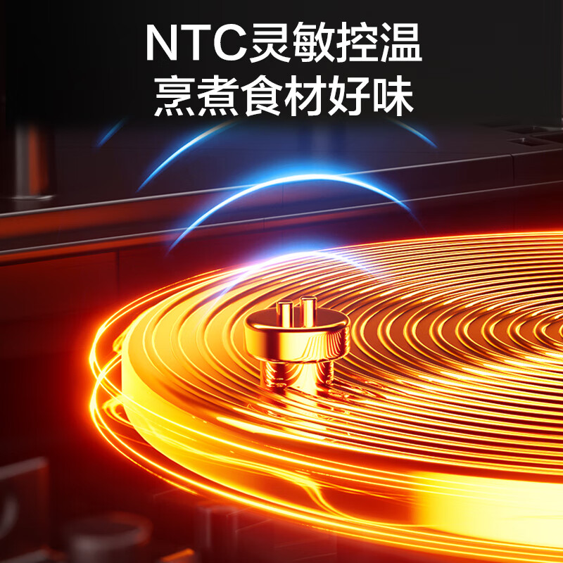 苏泊尔DZ25YC876电炖锅图片