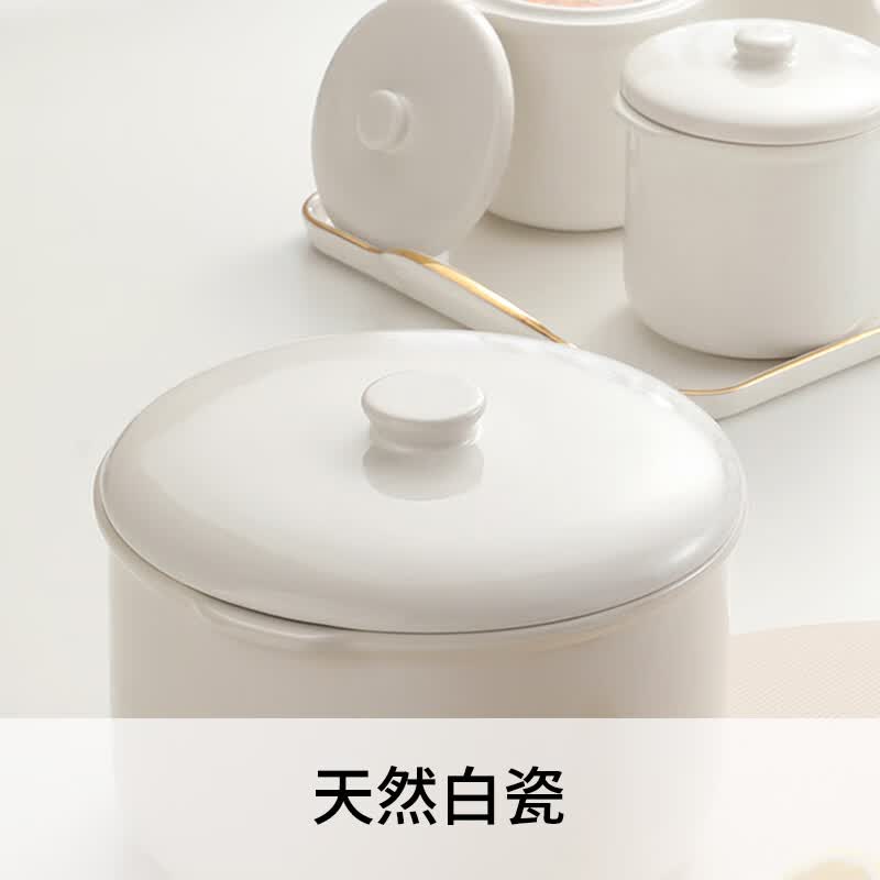 九阳GD186电炖锅图片