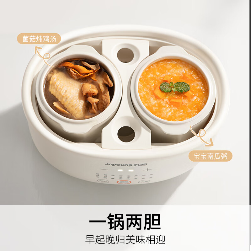 九阳DG10G-GD189电炖锅图片