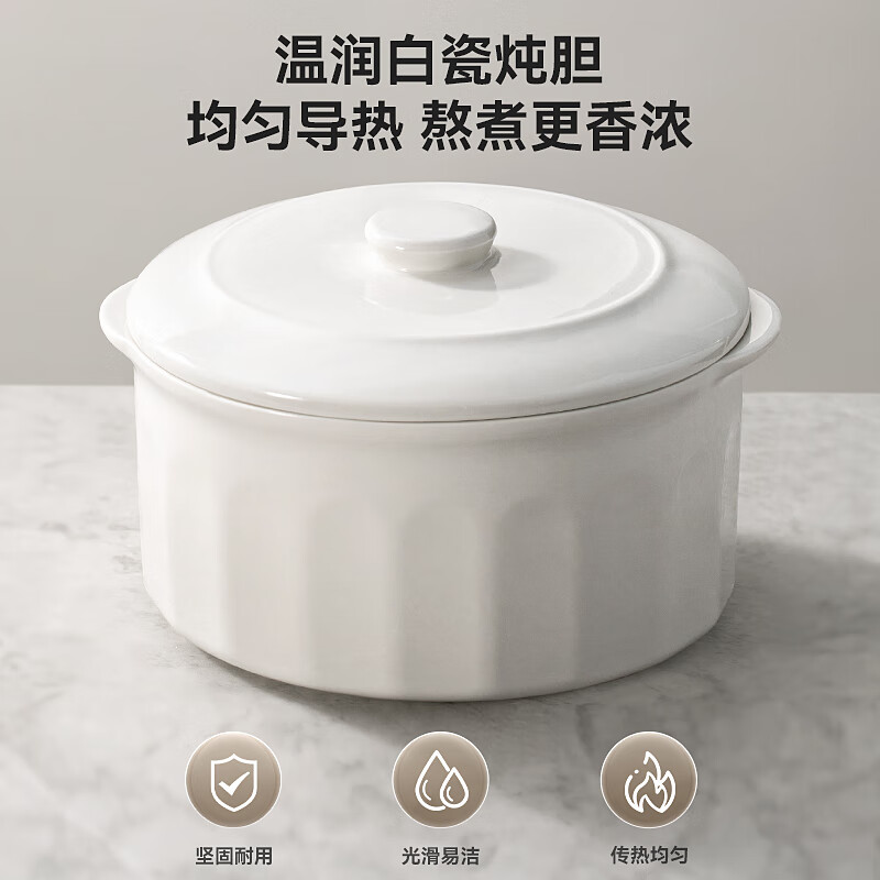 LOTOR徕多LD-DDZ-D31C电炖锅图片